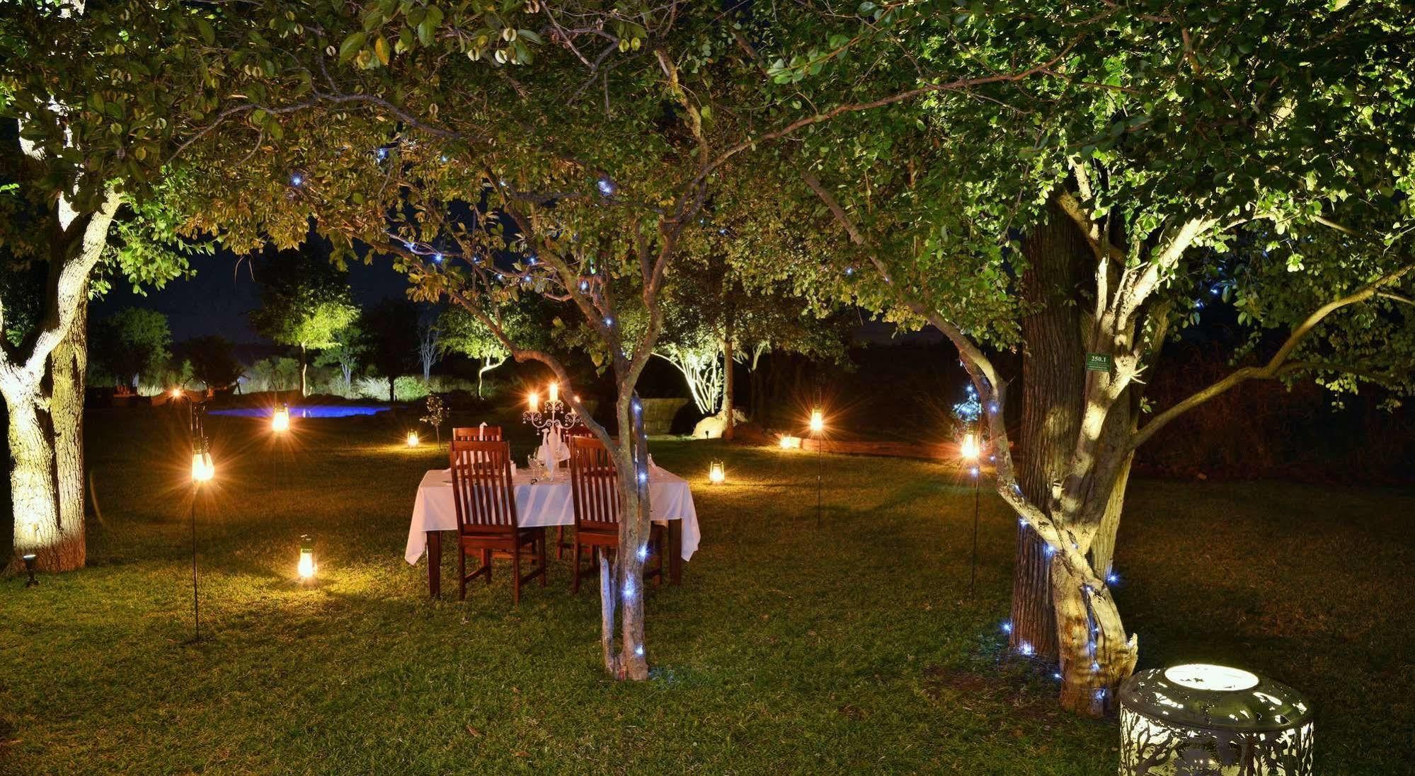 Wildtrack Safaris Eco Lodge Pandamatenga Eksteriør bilde